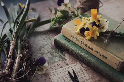 鋼鉄の魔女アンネローゼ 鋼鉄の魔女アンネローゼ