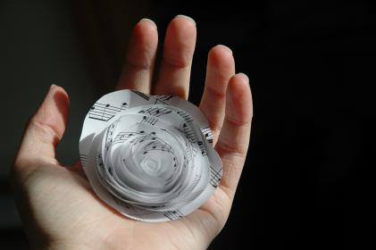 忘忧草研究院永久入口