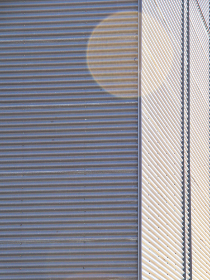 狼友升级天天更新