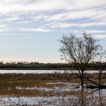 独家 网爆门 yzjr4ldt